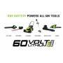 Decespugliatore a batteria GREENWORKS GD60LT pacchetto completo di batteria 60V 2.0 Ah (G60B2) e caricabatteria G60UC